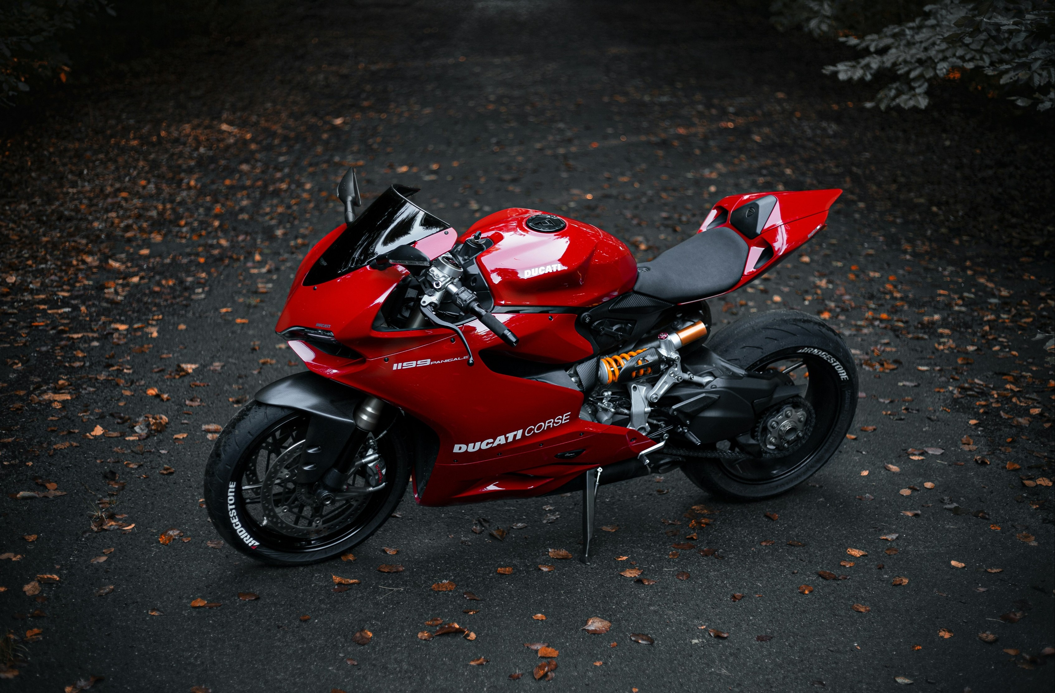 Gallery gallery_images_2_0_1755178727218042138.jpg | Elevate Automotive